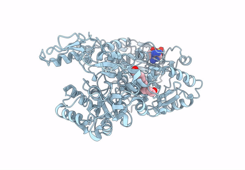 8V66 image