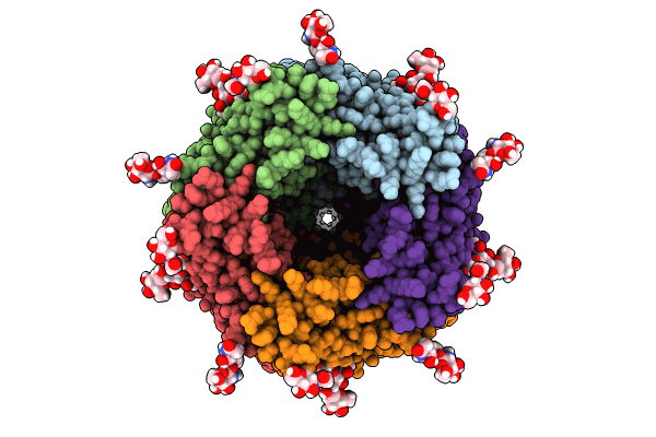8V80 image