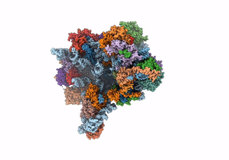 8V83 image