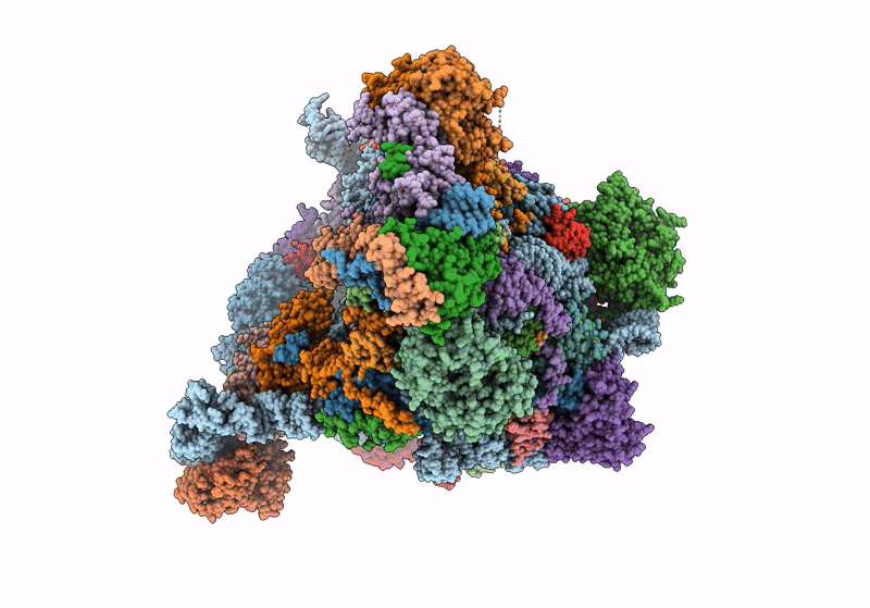 8V84 image