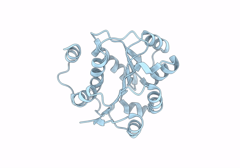 8V85 image
