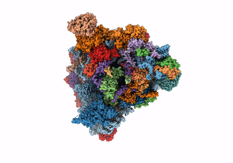 8V87 image
