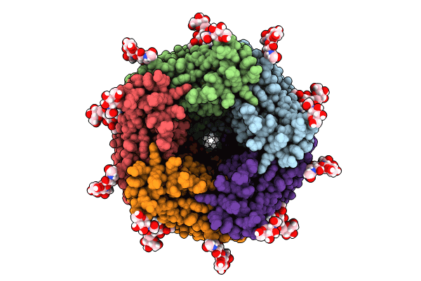 8V8A image
