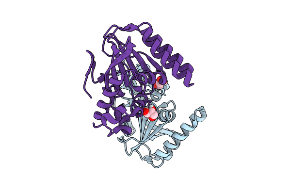 8V8L image