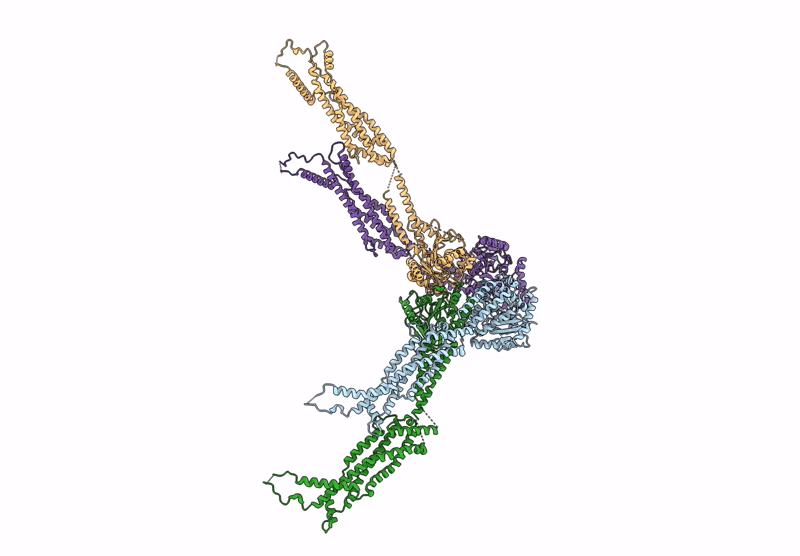 8V8T image