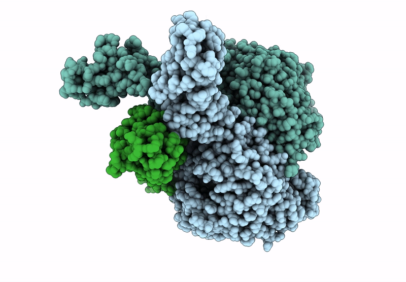 8VAK image
