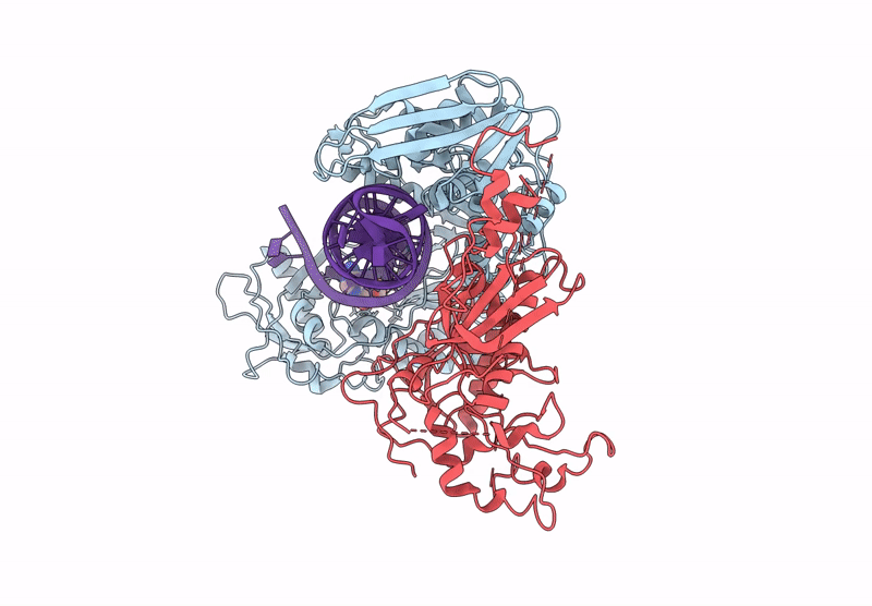8VBC image