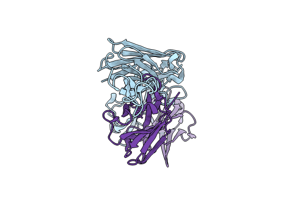 8VBK image