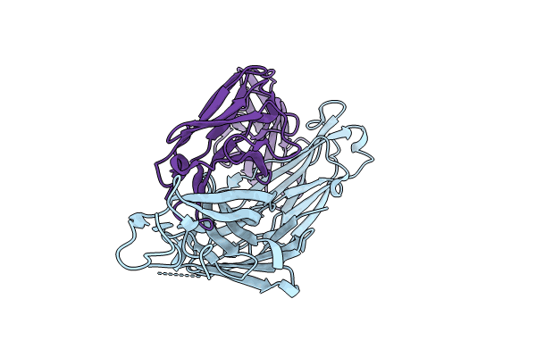 8VBL image