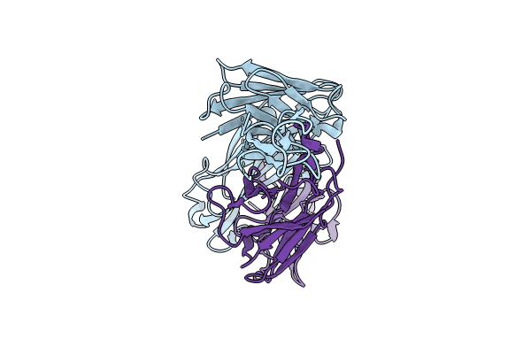 8VBM image