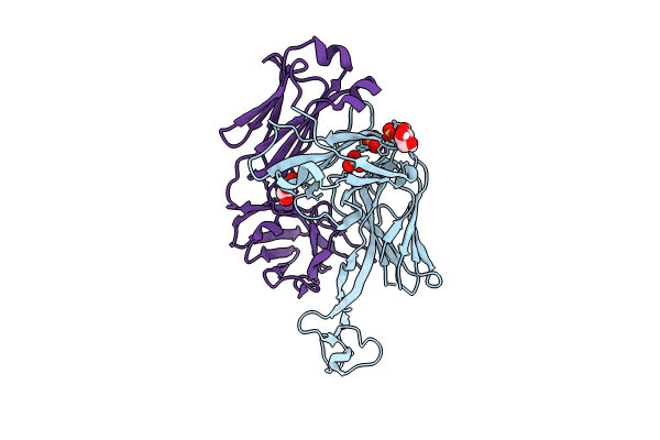 8VBO image