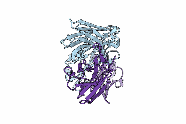 8VBP image