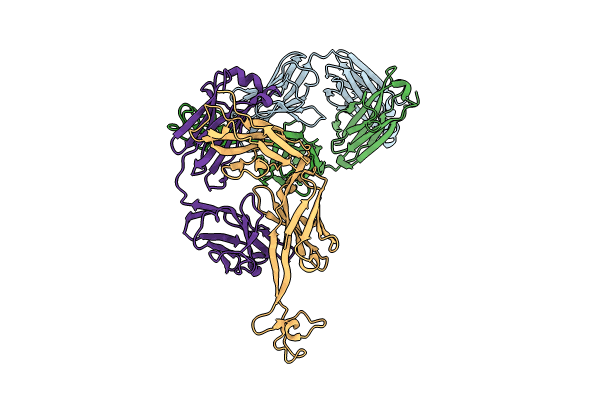 8VBR image