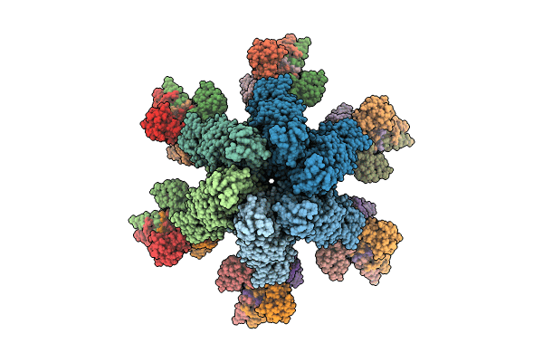 8VBX image