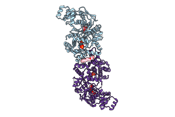 8VC5 image