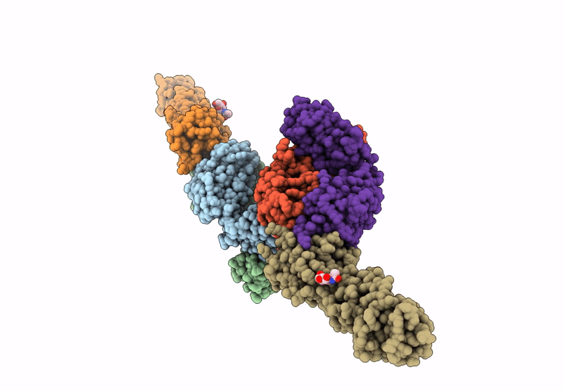 8VC7 image