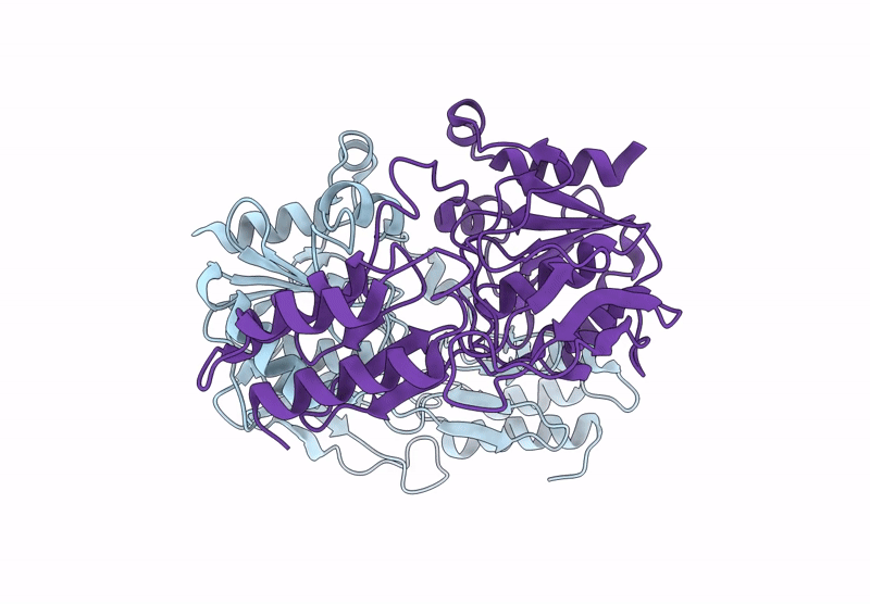 8VCB image