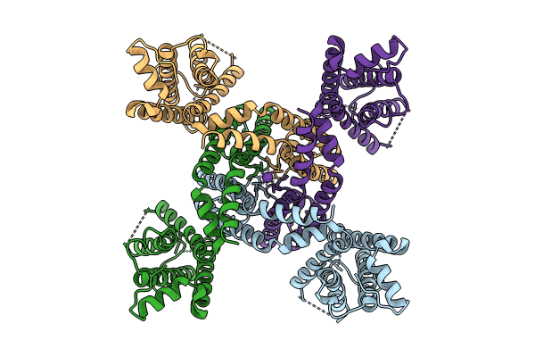 8VCH image