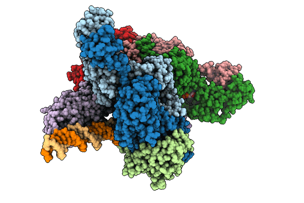 8VCT image