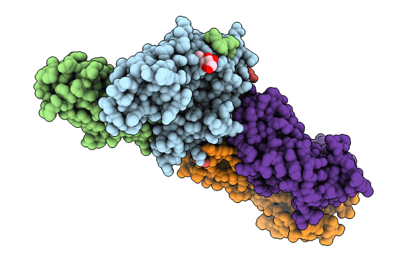 8VD2 image