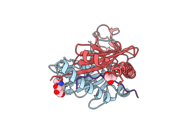 8VDD image