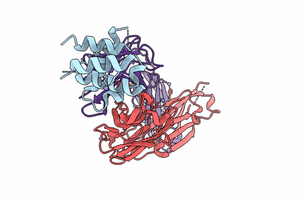 8VDL image