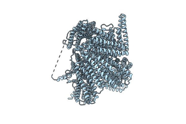 8VDP image