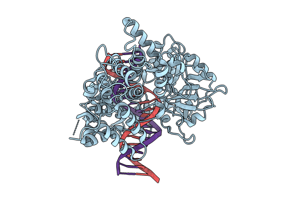 8VDS image
