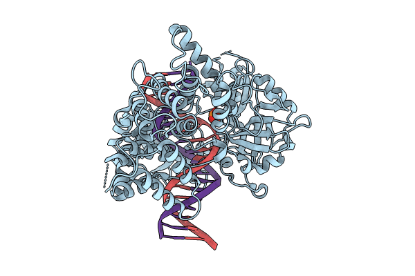 8VDT image