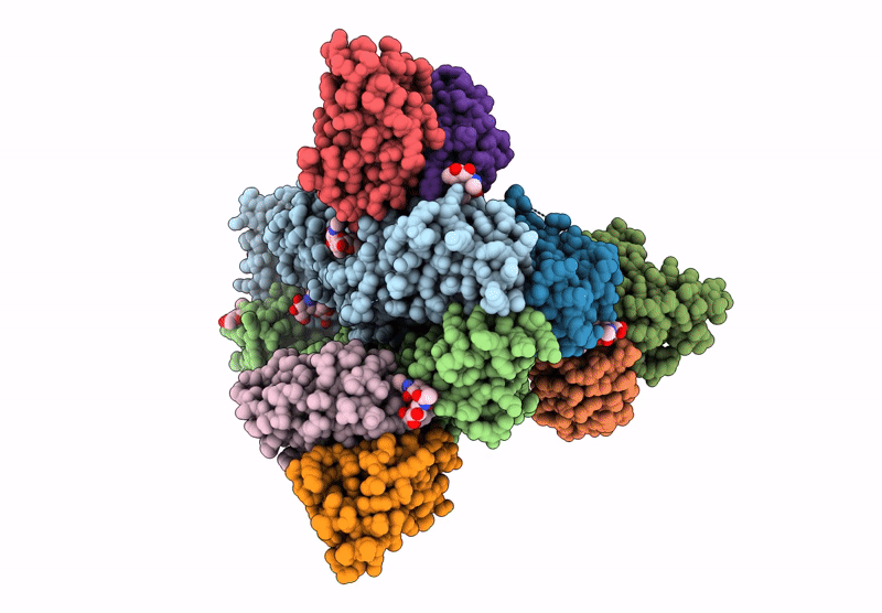 8VEE image