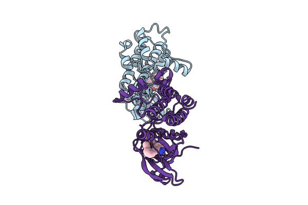 8VF6 image
