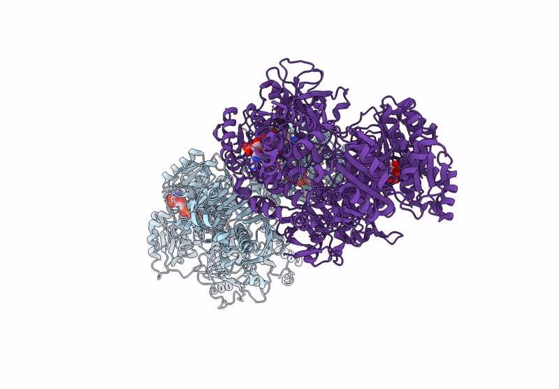 8VF7 image