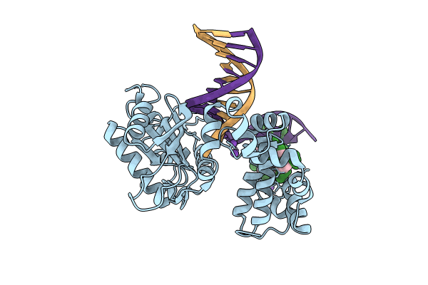 8VF9 image