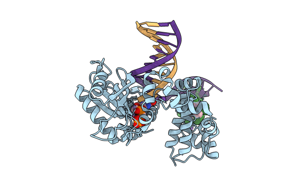 8VFA image