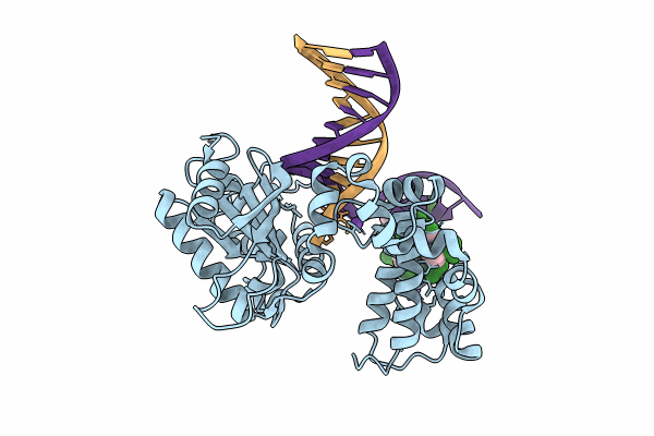 8VFF image