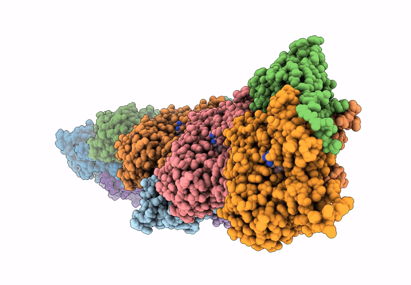 8VFM image