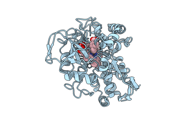 8VFP image