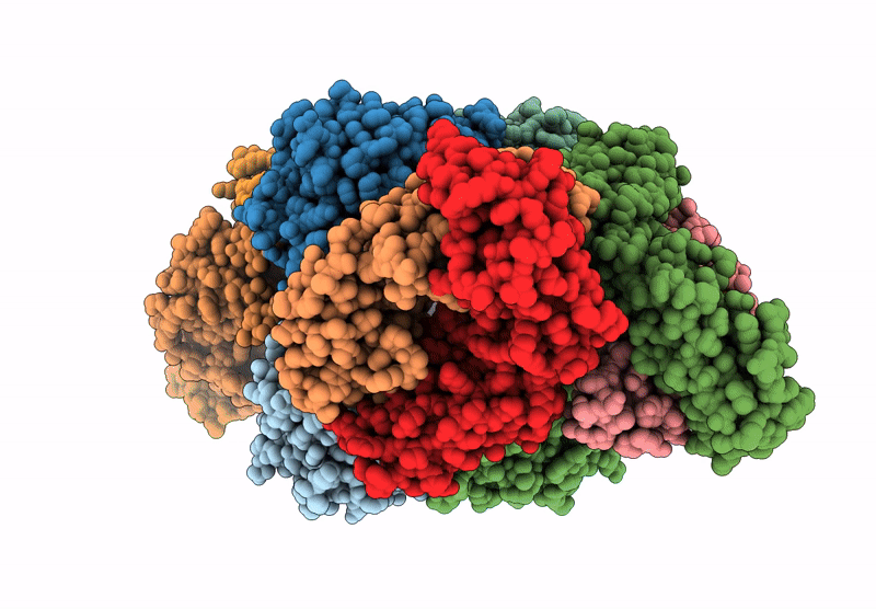 8VGI image