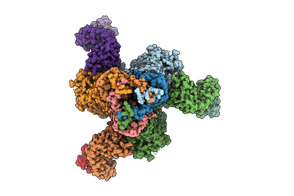 8VH2 image