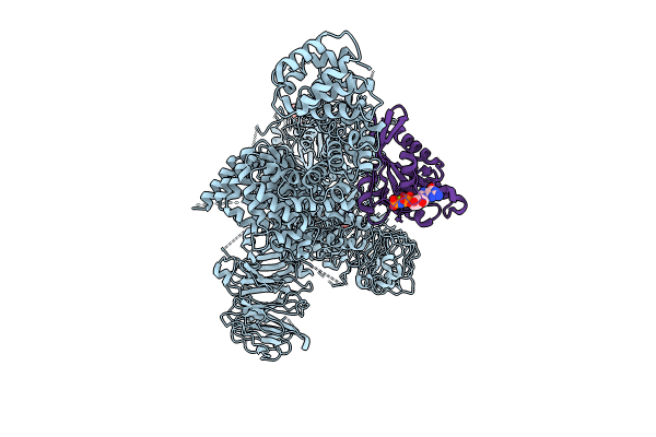 8VH4 image
