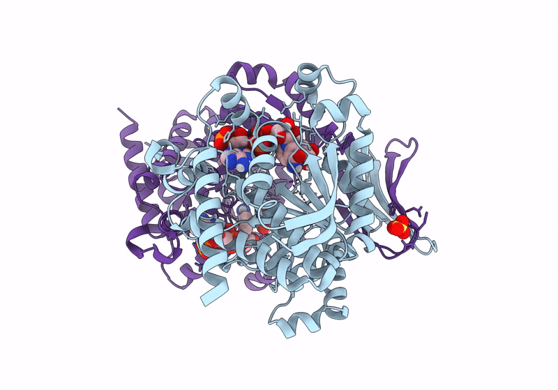 8VHC image
