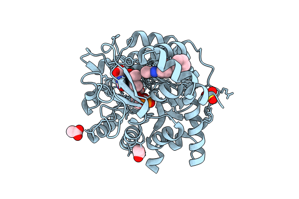 8VHM image