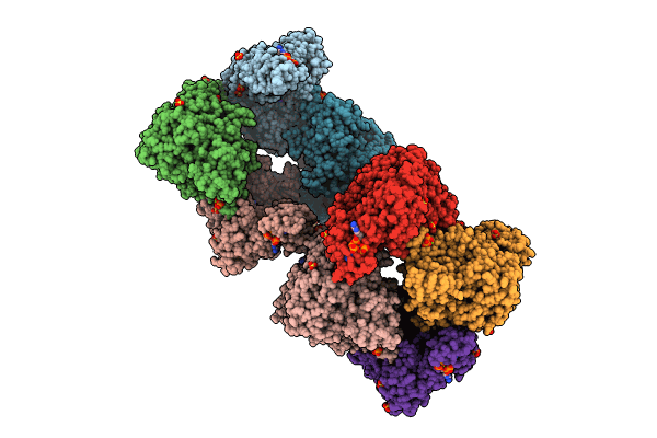 8VHP image