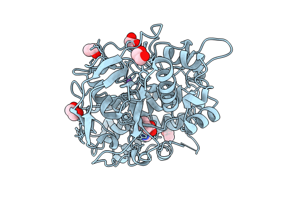 8VIG image