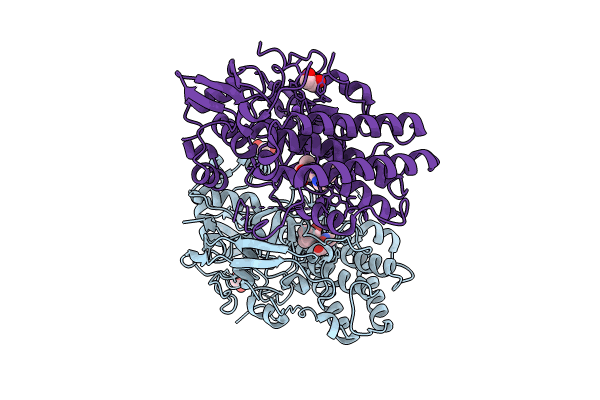 8VIH image
