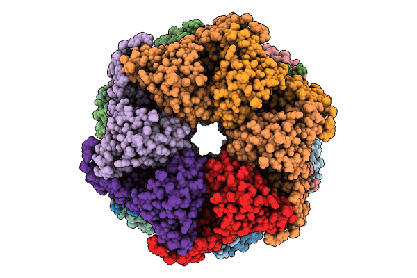 8VLS image