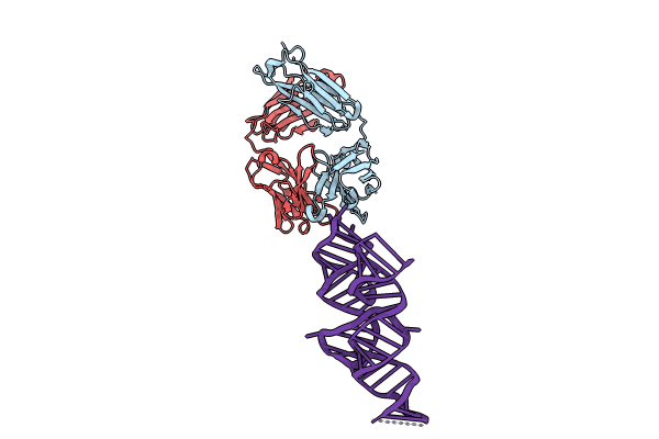 8VMB image