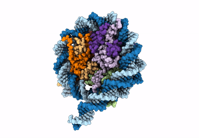 8VMJ image