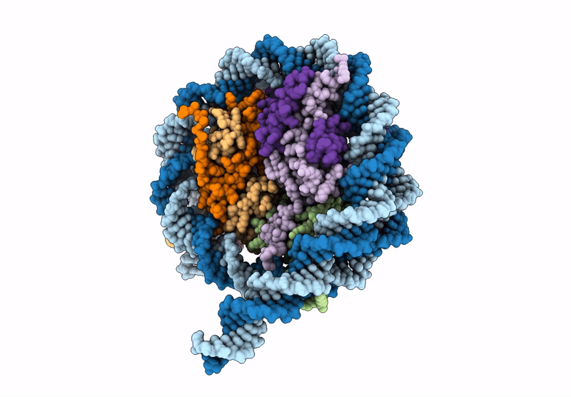 8VMN image