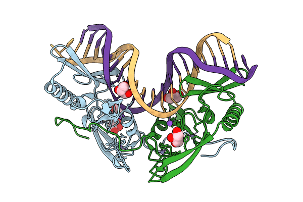 8VMO image